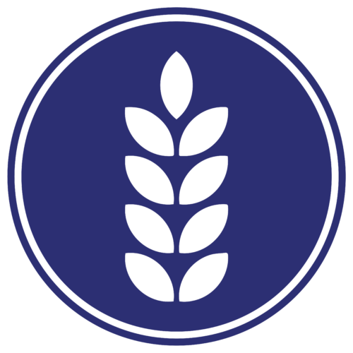 Grain solution icon for DP Techlink