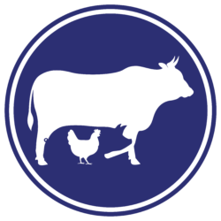 Live haul solution icon for DP Techlink